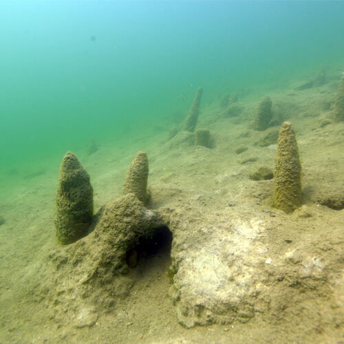 Ehemalige Insel im Keutschacher See mit Überresten der ältesten bekannten Pfahlbausiedlung Österreichs